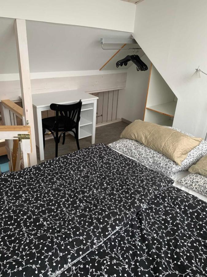 Ferienwohnung Warthmann 施瓦瑙 外观 照片